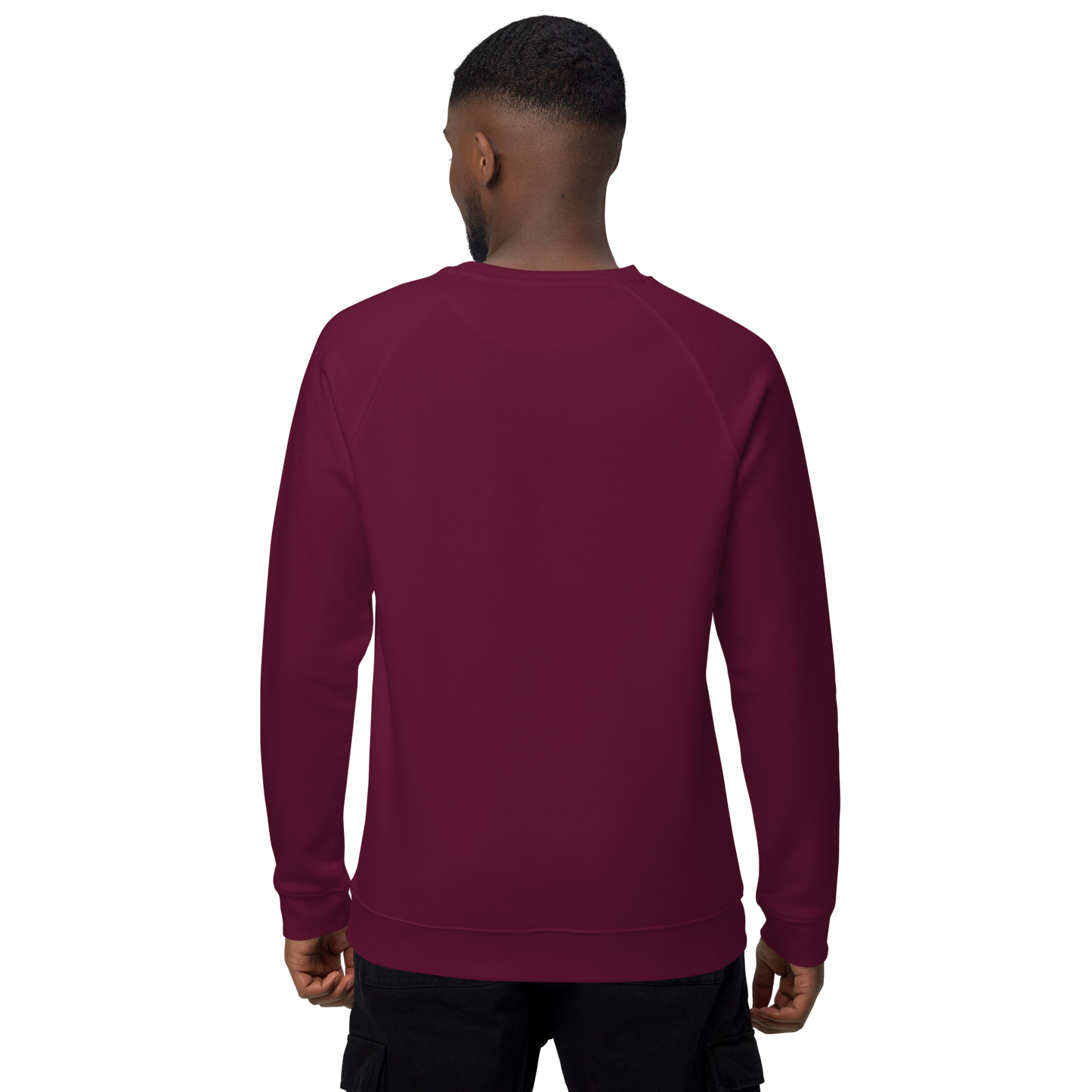 WHALE - Unisex organic raglan sweatshirt